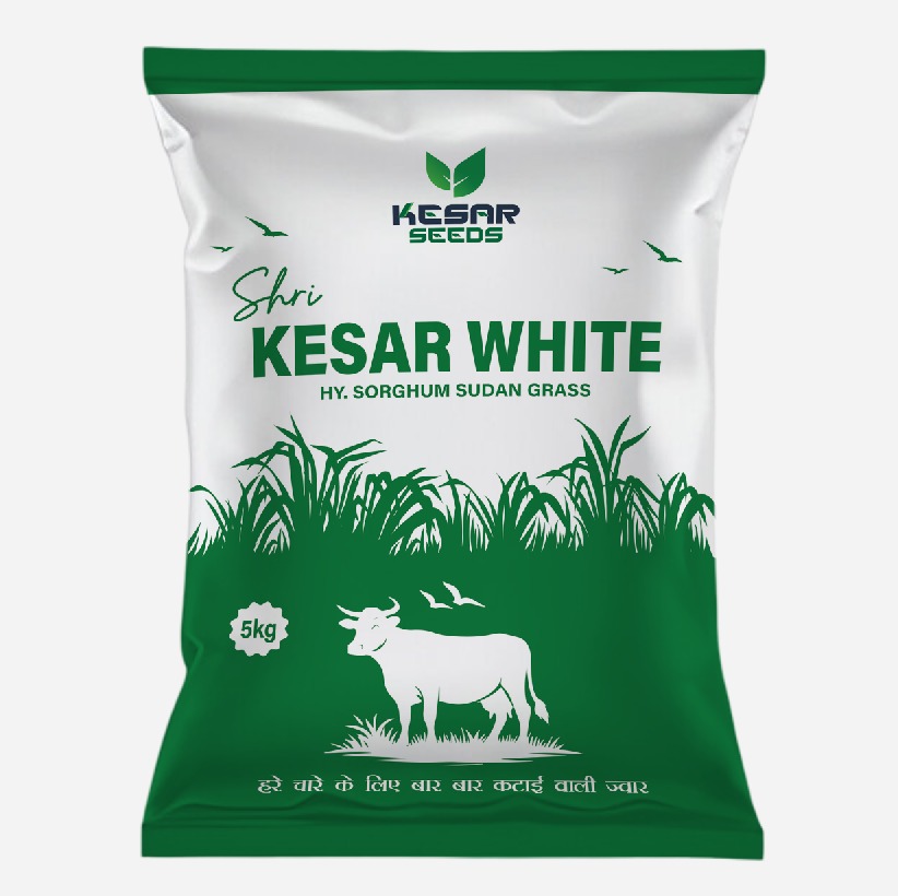 KesarWhite