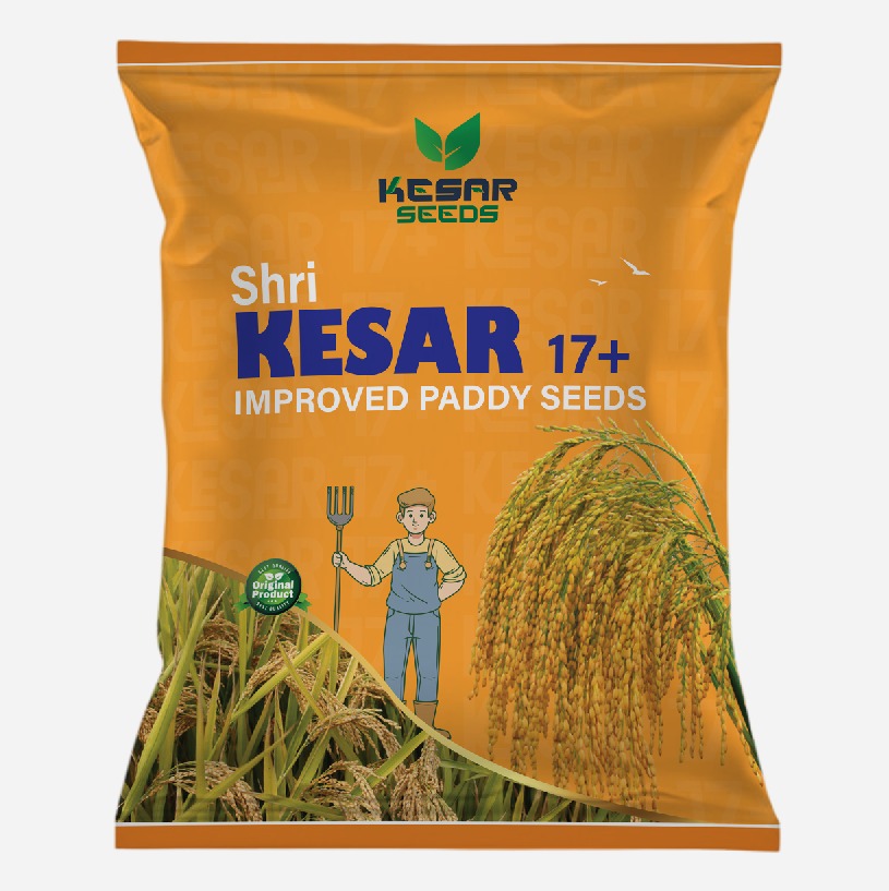 ShreeKesar17Plus